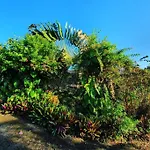 Villa Mascotte Proche Bas Du Fort Avec Piscine